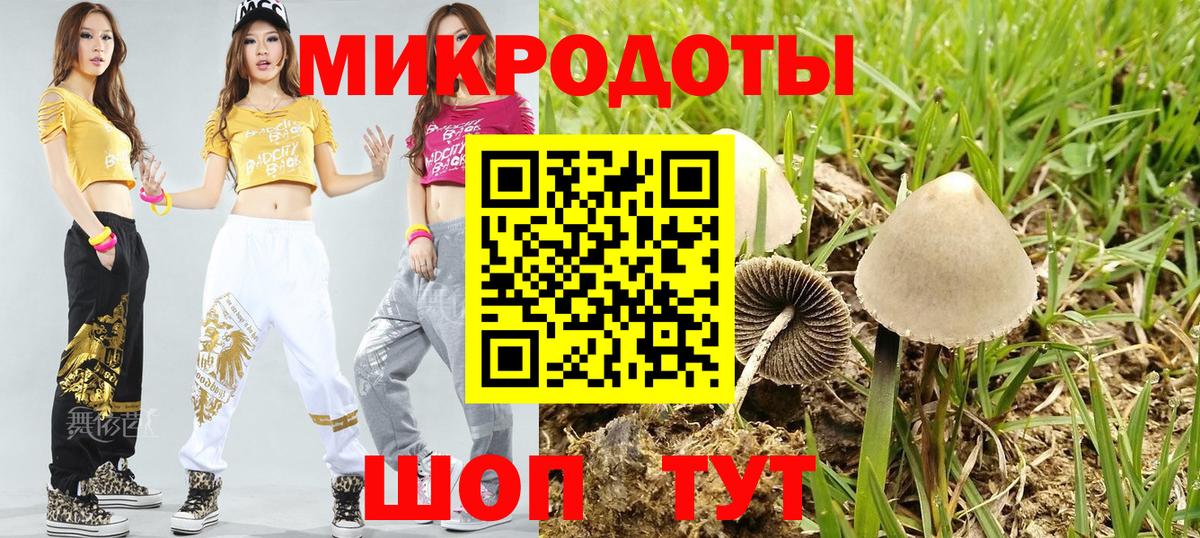 Сокол  купить наркотики цена  Вход с VPN  Галлюциногенные грибы Psilocybe  Галлюциногенные грибы Magic Shrooms 