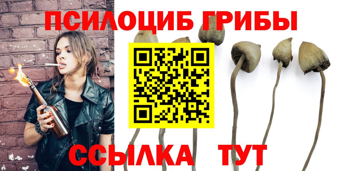 Галлюциногенные грибы GOLDEN TEACHER Сокол